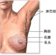 难治病特效